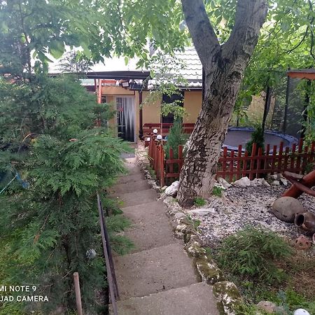 Casa Rool 호텔 투르다 외부 사진